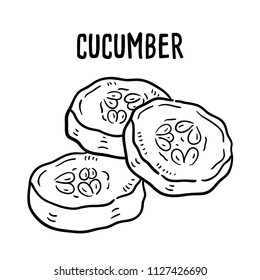 Hand drawn illustration of Cucumber.