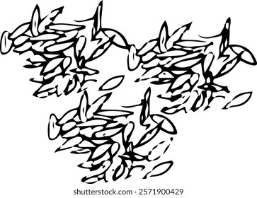 Hand drawn illustration of cumin