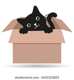 Hand drawn illustration of cute black cat in cardboard box on white background