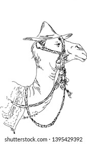 Hand drawn illustration of cute camel in a straw hat.