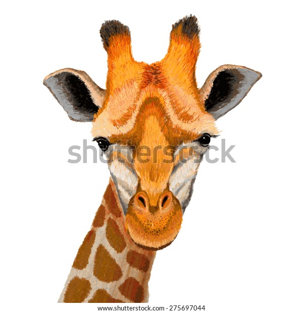 Hand Drawn Illustration Cute Giraffe Face Stock Vector (Royalty Free