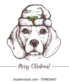 Hand drawn illustration of cute new year beagle puppy with santa hat in sketch style with merry christmas text. Vector poster with dog.