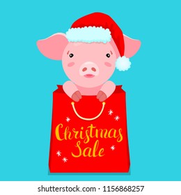 Hand drawn illustration of cute pink pig in Santa's hat and red package. Vector Christmas cartoon postcard. Winter background with text: Christmas Sale. Symbol of 2019.