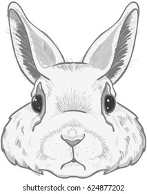 Hand drawn illustration of cute white bunny 