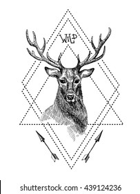 Hand drawn illustration deer. 