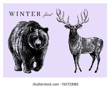 Hand drawn illustration of a deer and a bear from scandinavian forest. Based on a pencil drawing