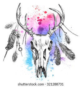 Hand drawn illustration with deer skull and feathers over watercolor background