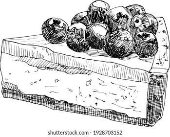 Hand drawn illustration of a delicious cheesecake with berries using line drawing