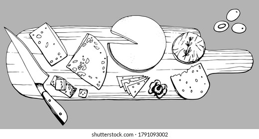 Hand drawn illustration of different types of cheese on a wooden board. Serving gourmet cheese. Handwritten graphic technique