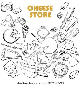 Hand drawn illustration of different types of cheese. Serving gourmet cheese. Dairy farm products. Handwritten graphic technique