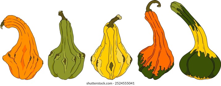 Hand drawn illustration of different types of pumpkins. Autumn vegetable, fall gourd, various type, shape, size, color. Seasonal fruit, Halloween and Thanksgiving decoration. 
