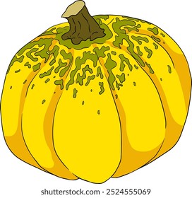 Ilustração desenhada à mão de diferentes tipos de abóboras. Vegetal de outono, abóbora de queda, vários tipos, forma, tamanho, cor. Frutas sazonais, Halloween e decoração de Ação de Graças. 