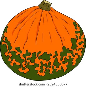 Ilustração desenhada à mão de diferentes tipos de abóboras. Vegetal de outono, abóbora de queda, vários tipos, forma, tamanho, cor. Frutas sazonais, Halloween e decoração de Ação de Graças. 