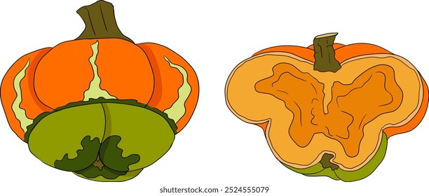 Hand drawn illustration of different types of pumpkins. Autumn vegetable, fall gourd, various type, shape, size, color. Seasonal fruit, Halloween and Thanksgiving decoration. 