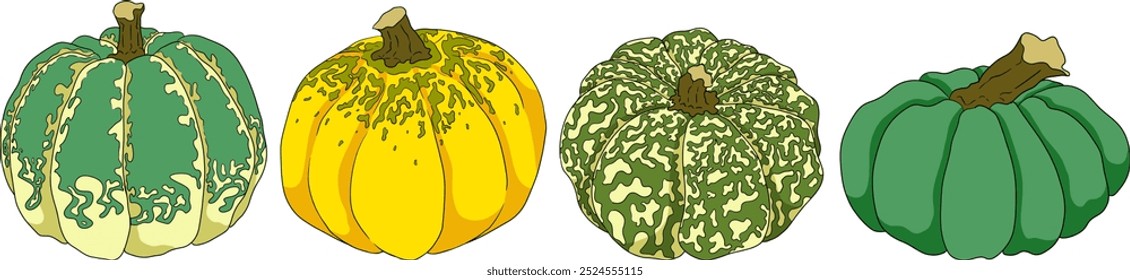 Handgezeichnete Illustration verschiedener Kürbissorten. Herbstgemüse, Herbstkürbis, verschiedene Art, Form, Größe, Farbe. Saisonobst, Halloween und Thanksgiving Dekoration. 
