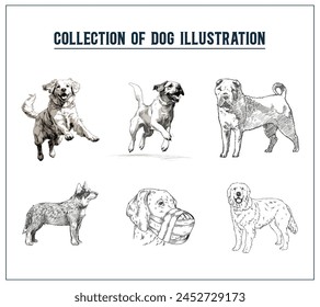 Hand Drawn Illustration of Dog, Vintage illustration of Dog, Collection of Dog illustration, Editable, Hand drawn illustration, Beautiful Dog, Running, Vintage, Retro, Editable Template, Graphic Desig