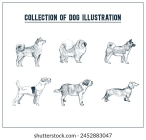 Hand Drawn Illustration of Dog, Vintage illustration of Dog, Collection of Dog illustration, Editable, Hand drawn illustration, Beautiful Design, Standing, Vintage, Retro, Editable Template of Dogs