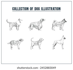 Hand Drawn Illustration of Dog, Vintage illustration of Dog, Collection of Dog illustration, Editable, Hand drawn illustration, Beautiful Design, Standing, Vintage, Retro, Editable Template of Dogs