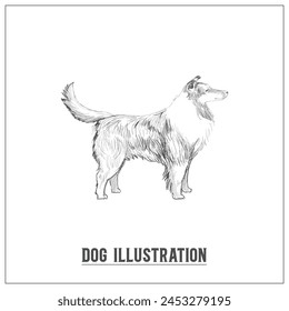 Hand Drawn Illustration of Dog, Vintage illustration of Dog, Vector File of Dog illustration, Editable Template, Template of Dog Illustration, Social Media Post Design, Calligraphy, Logo, Banner, Pet