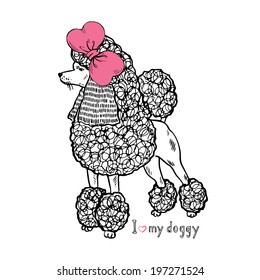 Hand drawn illustration of doggy poodle girl