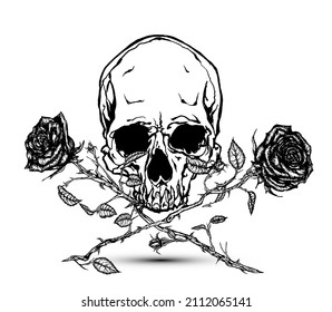 Hand drawn illustration of double red roses and skull in tattoo style design. Black and white illustration.
