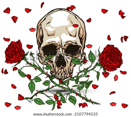 Hand drawn illustration of double red roses and skull with falling petals in tattoo style design.