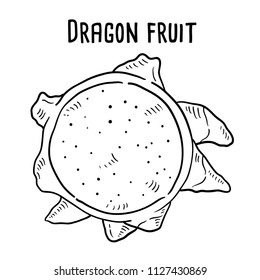 Hand drawn illustration of Dragon fruit.
