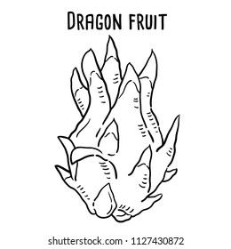 Hand drawn illustration of Dragon fruit.