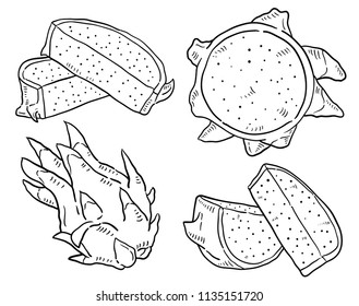 Hand drawn illustration of Dragon fruit.