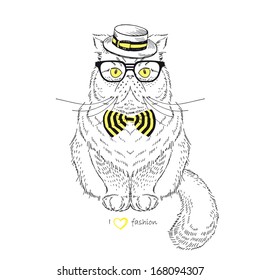 Hand Drawn Illustration of dressed up Persian Cat isolated on white