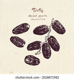 Handgezeichnete Illustration von Trockenfrüchten, Vintage-Zeichensammlung
