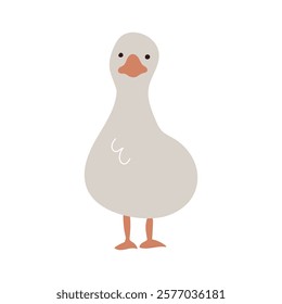 Hand drawn illustration of a duck facing forward