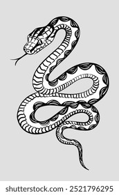 Hand drawn illustration of a editable white coiled snake isolated on grey background. Poster with sketch of venomous reptile as a decorative element for t-shirt design, tattoo idea, print. 