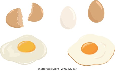 Hand drawn illustration of eggs. Cracked egg shell, raw egg, fried egg. 