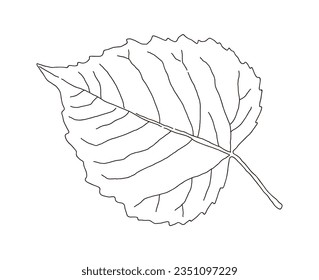 Hand drawn illustration of fallen leaves from trees in fall season. Foliage of various colors is produced.