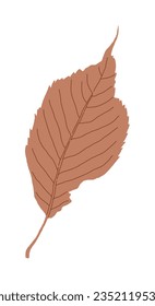 Hand drawn illustration of fallen leaves from trees in fall season. Foliage of various colors is produced.