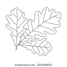 Hand drawn illustration of fallen leaves from trees in fall season. Foliage of various colors is produced.