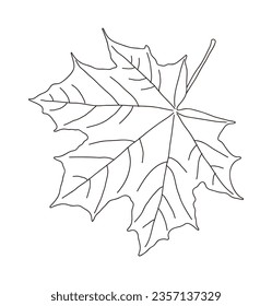 Hand drawn illustration of fallen leaves from trees in fall season. Foliage of various colors is produced.