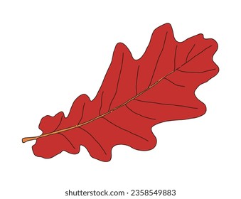 Hand drawn illustration of fallen leaves from trees in fall season. Foliage of various colors is produced.