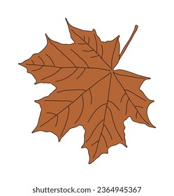 Hand drawn illustration of fallen leaves from trees in fall season. Foliage of various colors is produced.