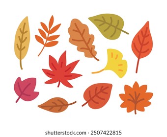 Hand drawn illustration of fallen leaves from trees in fall season. Ginkgo leaves, maple leaves.