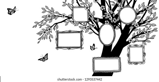 Hand drawn illustration of a family tree, banner with tree and empty picture frames