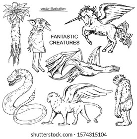 Hand drawn illustration of fantastic creatures: basilisk,  dragon, mandragora,  house-elf  on white background.  Black and white sketch with line art.