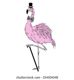 hand drawn illustration of fashion flamingo