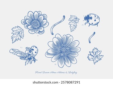 hand drawn illustration featuring Amor Adonis flowers accompanied by a charming ladybug. The intricate details of the vibrant blooms and the tiny insect create a harmonious composition