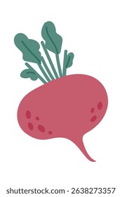 Hand drawn illustration featuring a vibrant beet with lush green leaves, isolated on a clean white background, symbolizing healthy eating and fresh, organic produce from the farm