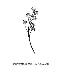Hand drawn illustration floral element for design in black color. Ink sketch