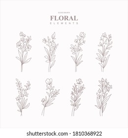 Conjunto de vectores ornamento elementos florales ilustración dibujada a mano