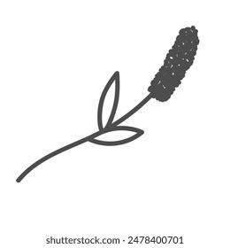 hand drawn illustration of flowers and leaves