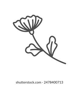 hand drawn illustration of flowers and leaves
